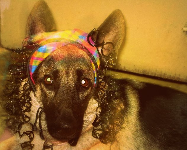 60012_432578382943_2253692_n