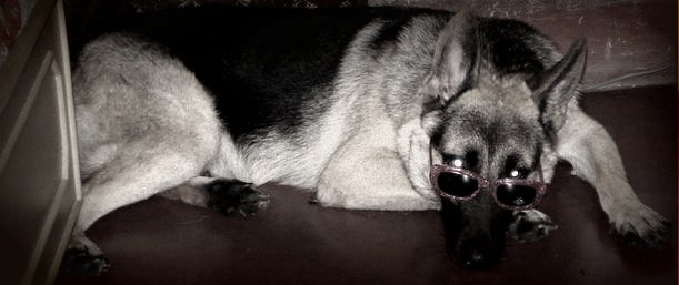 61635_432578242943_7184880_n