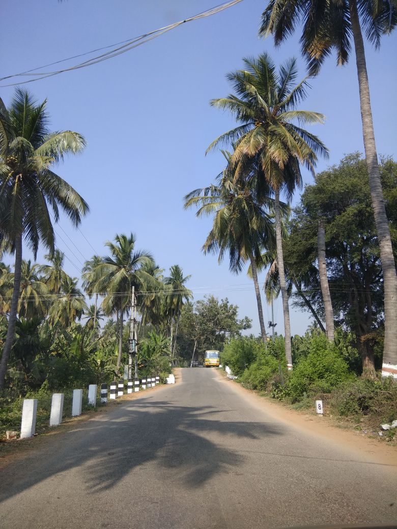 WhatsApp Image 2018-03-13 at 1.34.51 PM