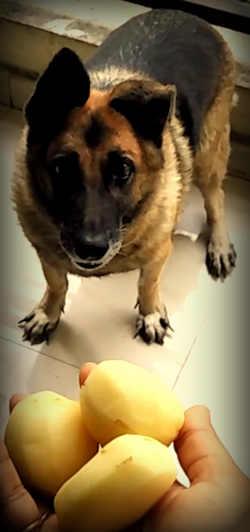 vlcsnap-1591-03-08-20h20m50s837